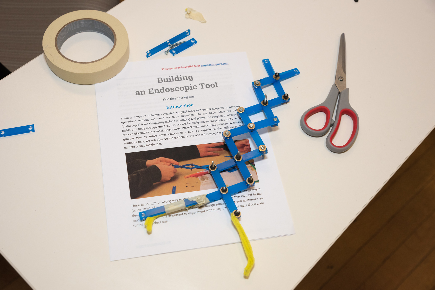The endoscopic tool.